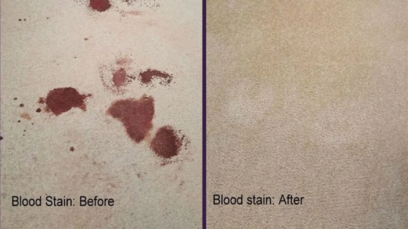 Remove Pet Stains with Expert Rug Cleaning Service in Sydney – Buy A Rug