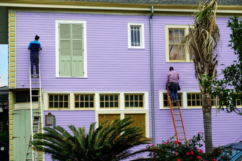 What is the Main Purpose of Flyscreen Doors in a House?