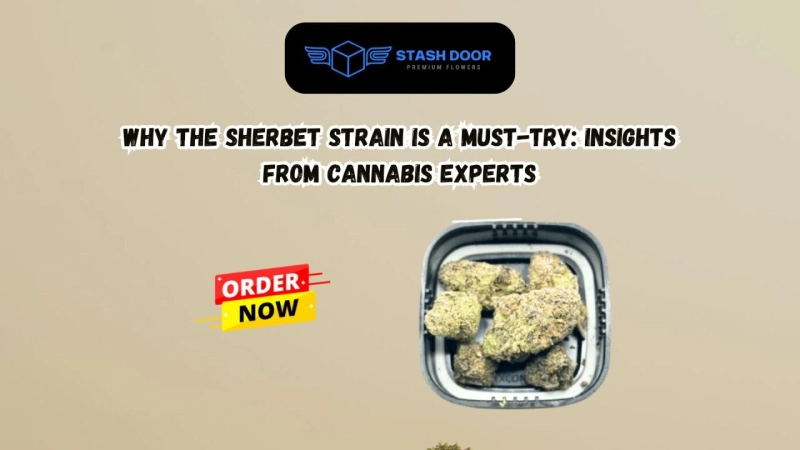 Why the Sherbet Strain is a Must-Try: Insights from Cannabis Experts