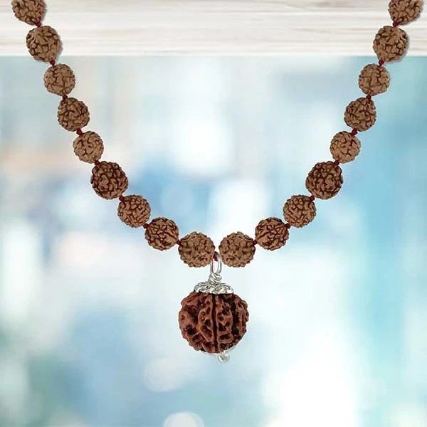 Original Rudraksha Pendants Online | Silver Chain Pendant Malas