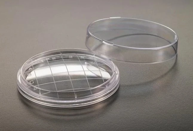 What Do Contact Plates Test For?