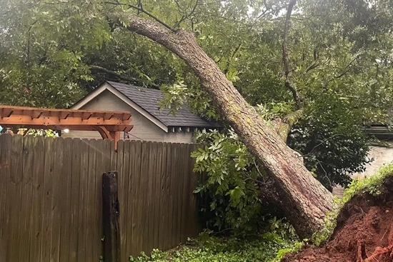 Emergency Tree Removal Services: Fast, Safe Solutions When Every Second Matters