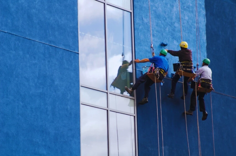 Transform Your Space with Professional Painters