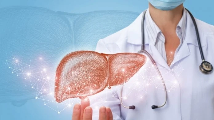 Important Things You Should Know Before Undergoing Liver Transplant