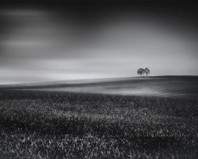 The Art of Light and Vision: Mastering Photographic Artistry in the Modern Era