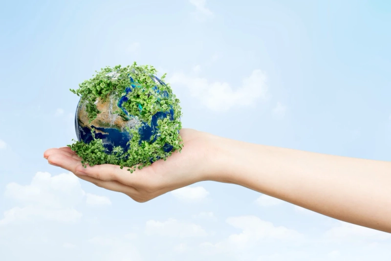 Going Green: How Eco Badges Elevate Your Brand\'s Image