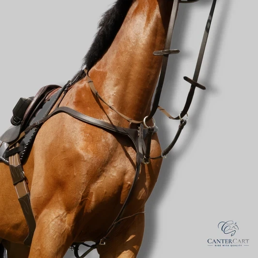 Quality That Speaks - CanterCart’s Commitment to Every Rider and Horse