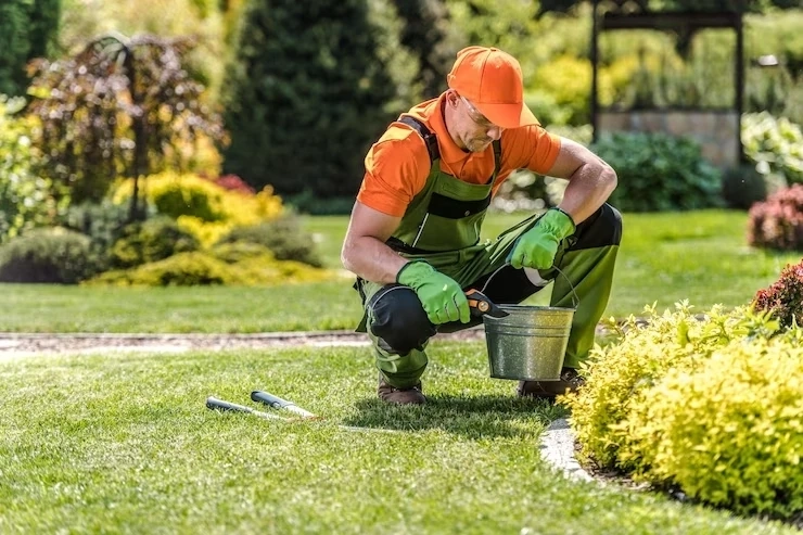 7 Common Landscaping Challenges and their Solutions