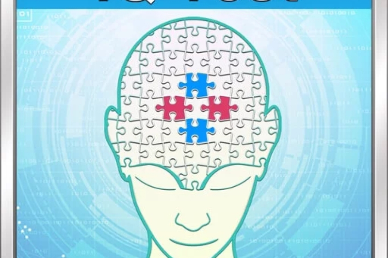 Unlocking the Mystery: The Quest for a Real IQ Test