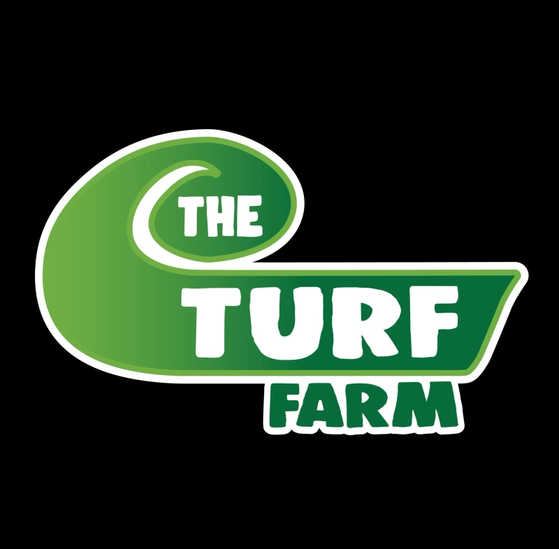 10 Expert Tips to Keep Your Lawn Green All Year Round