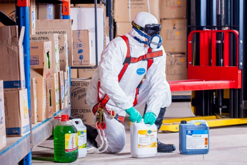 Pest Control Services Dubai – Safe, Fast & Guaranteed Protection