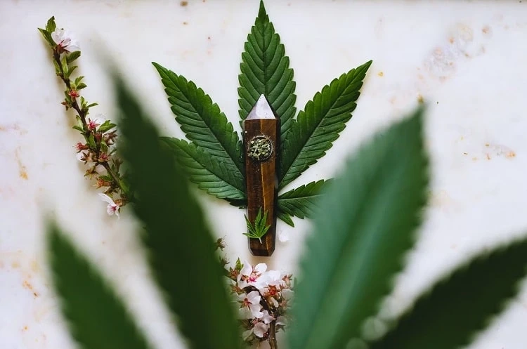 CBD Vape Pens: Exploring the Therapeutic Benefits of Cannabidiol Inhalation