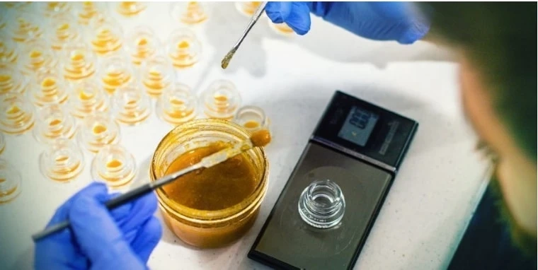 Advantages of Live Resin Terpenes