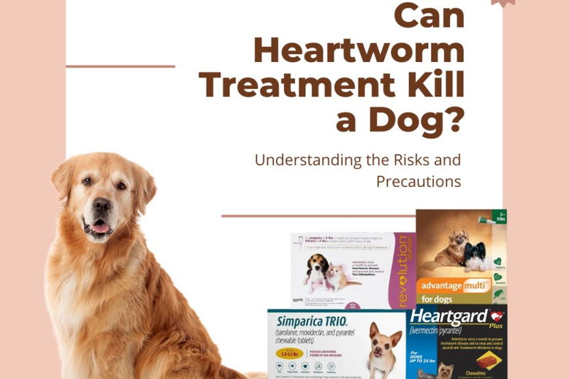 Can Heartworm Treatment Kill a Dog? Understanding the Risks and Precautions