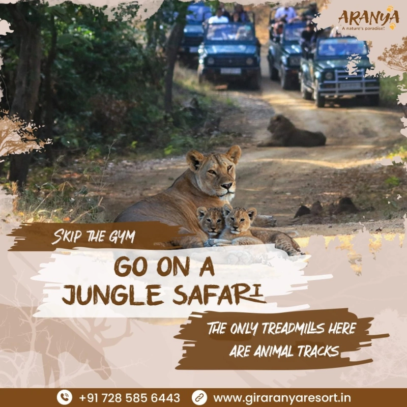 Camping in Sasan Gir: Best Spots and Tips for a Safe Experience