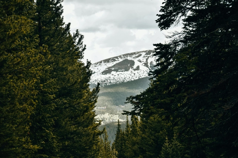 Low Speed Vehicles in Colorado: Mobility, Regulations, and Everyday Uses