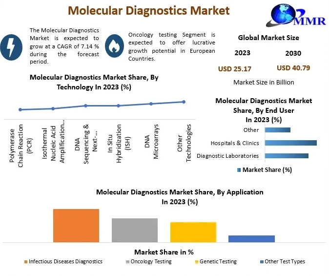 Molecular Diagnostics Market Mastery: Exploring Segmentation, Outlook, and Overview in Dynamics | 2024-2030