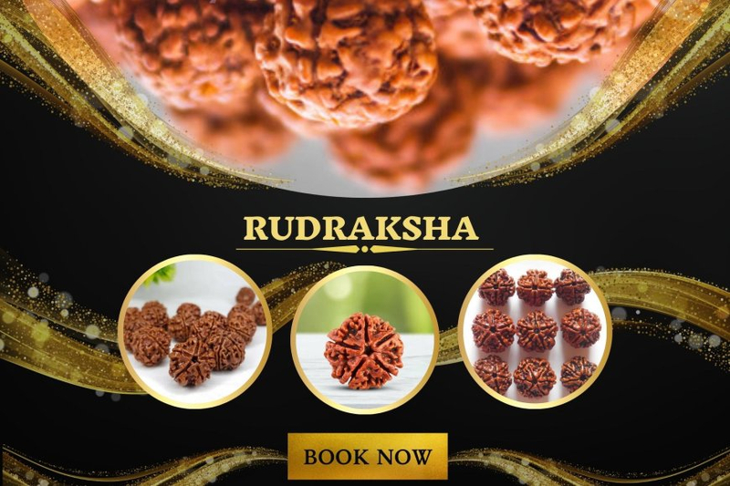 Harnessing Rudraksha: Unlocking Benefits for Life