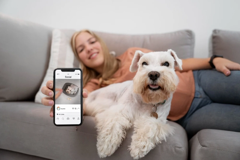 From Local Meetups to Global Bonds: The Evolution of Pet Communities