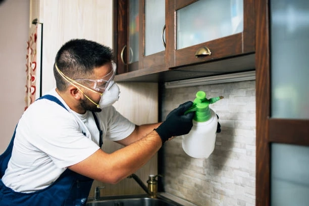 Remove dead animals from your property quickly and easily with our experienced team!
