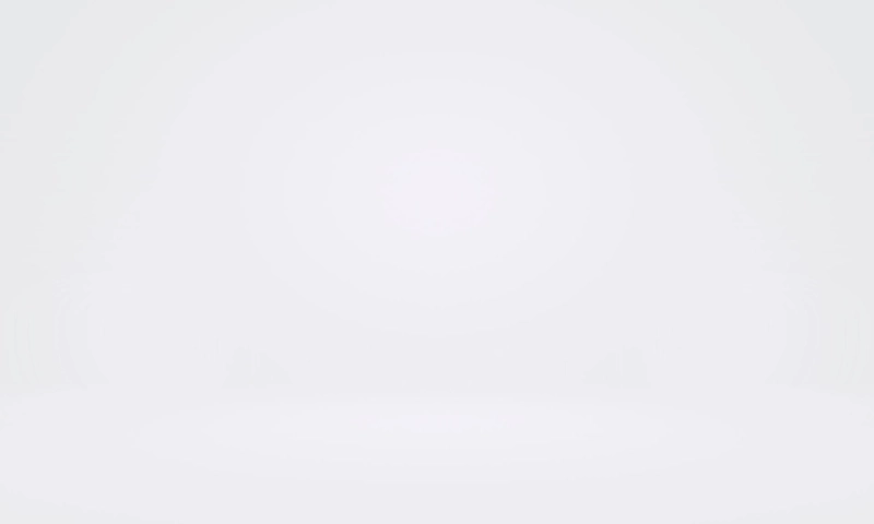 Seiko Watch History and Craftsmanship at Creation Watches Singapore