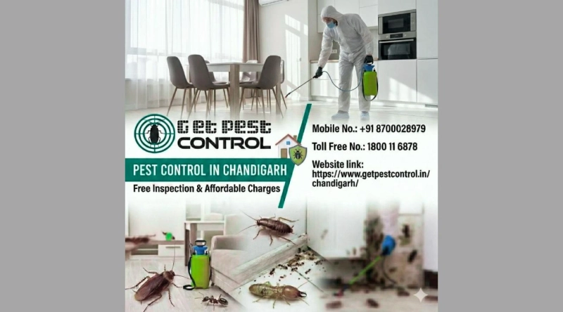 Pest Control in Chandigarh for Safe and Healthy Living