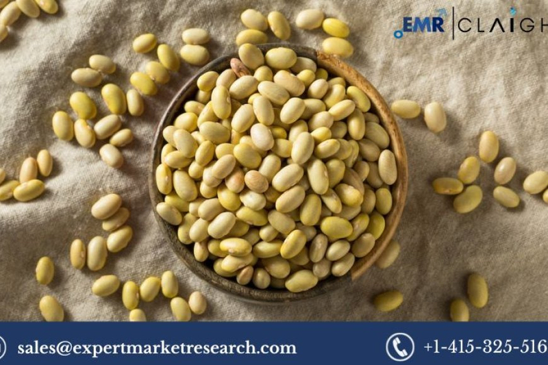 Unveiling the Health Benefits of Mayocoba Beans: A Nutritional Powerhouse Gaining Traction
