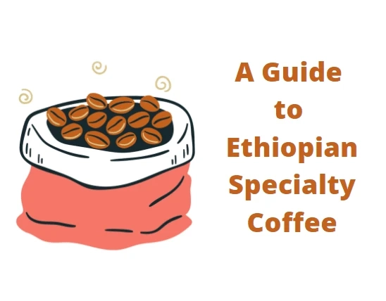 A Guide to Ethiopian Specialty Coffee