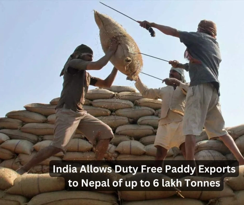 India Allows Duty-Free Paddy Exports to Nepal of up to 6 lakh Tonnes