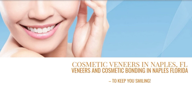 How is Naples Dental Service taking care of dentistry well?