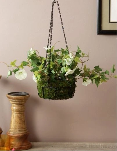 How to Pick the Right Balcony Planter Based On Your Personality?