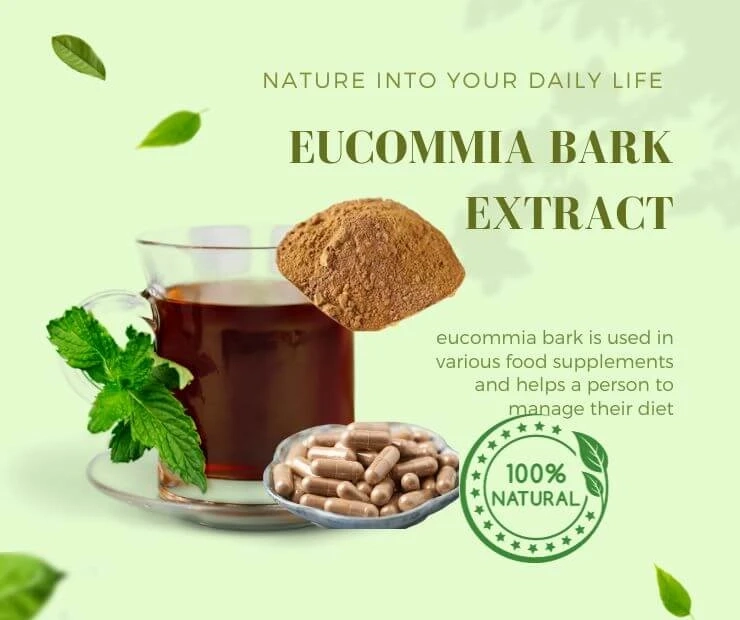 How is Eucommia Bark Extract Used In The Laboratories?