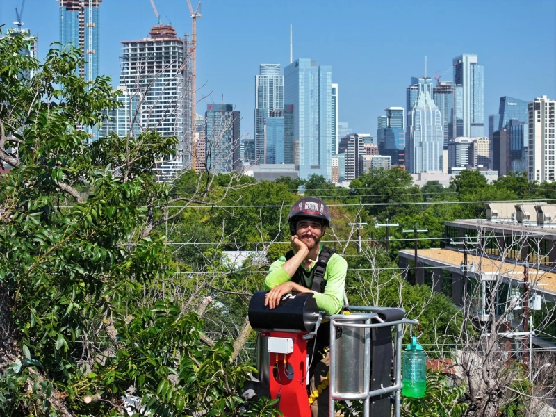 Why Tree Planting Is More Than an Environmental Statement