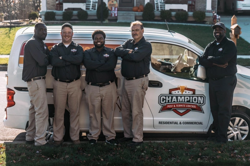 How Pests Spread Inside Walls and Attics