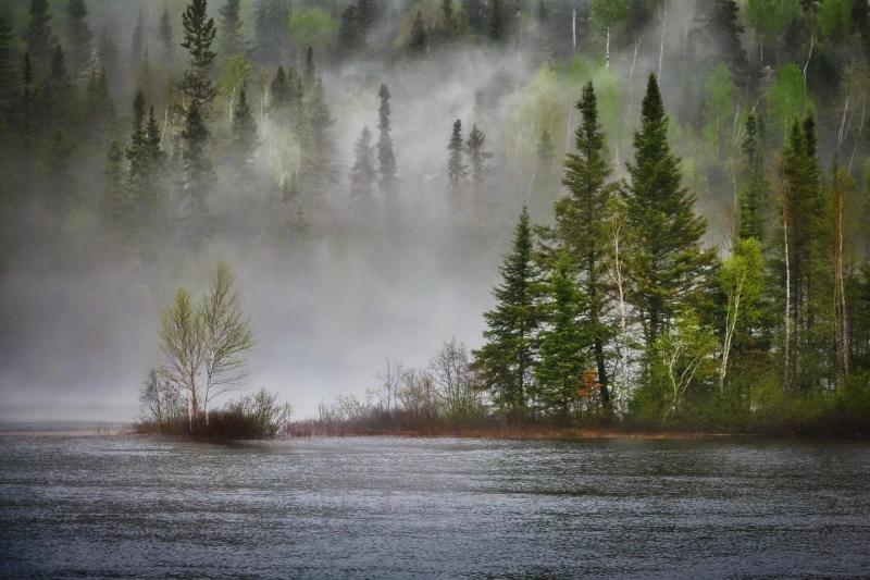 Understanding Carbon Offset: Reducing Your Carbon Footprint