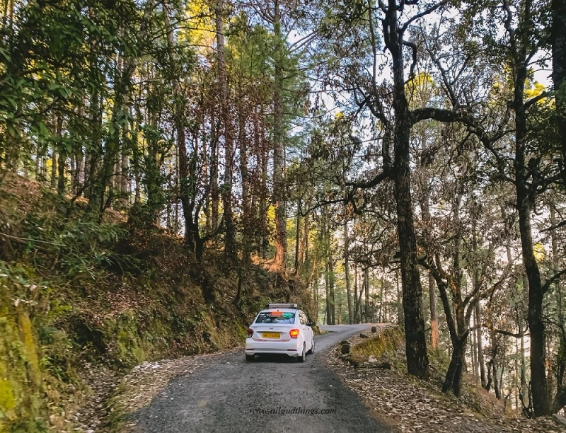 Travel Binsar to Rejuvenate your Soul - All Gud Things