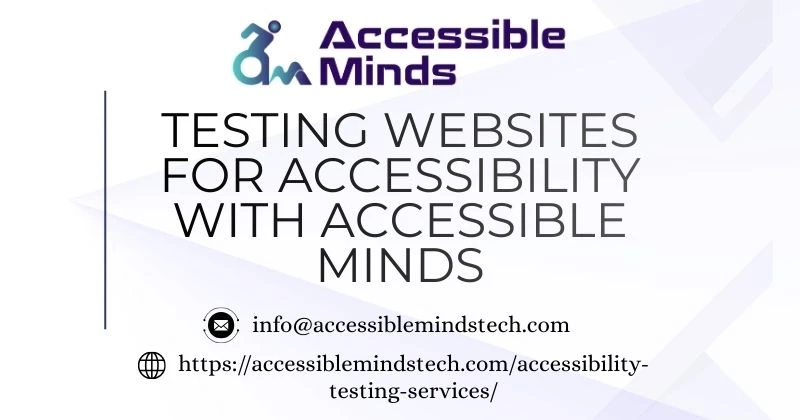 Testing Websites for Accessibility with Accessible Minds