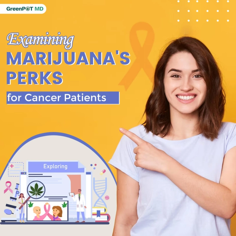 A Complete Overview of Research on Marijuana's Effects for Cancer Patients