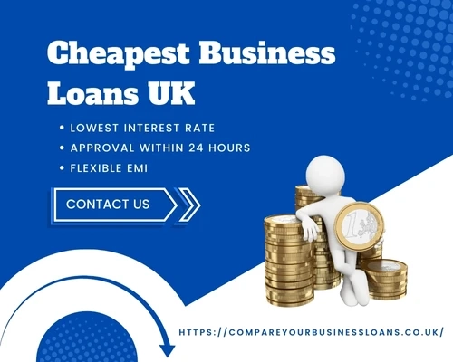 How Do Low Cost Business Loans Differ From Traditional Loans?