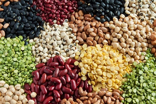 Key Fruits and Vegetable Seeds Market Players, Growth, Business Strategies and Forecast by 2030