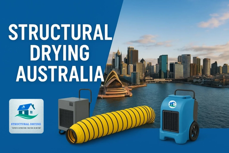 Basement Water Damage: Safe and Effective Drying Solutions for Sydney Homes