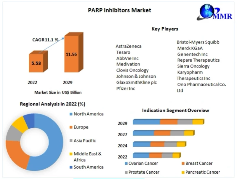 PARP Inhibitors Market Size, Share, Growth, Trends, Drivers, Opportunity and Forecast 2029