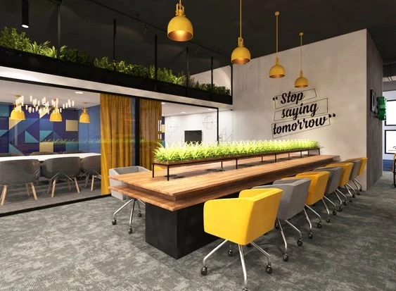Elevating Productivity: The Essentials of Office Design