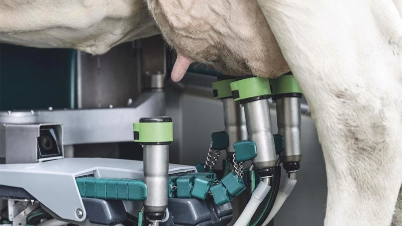 Milking Robots Market Complete Research on Leading Players with Growth Prospects and Anticipating Growth Rate