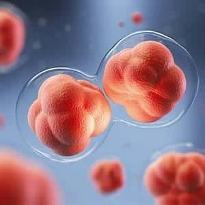 The Connection Between Eye Health and Overall Well-Being