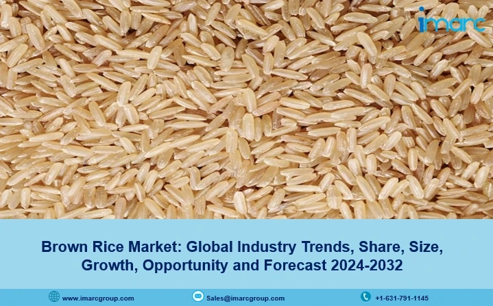 Brown Rice Market Trends, Share, Growth & Forecast 2024-2032