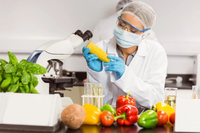 Food Nanotechnology Market: Professional Survey And Ongoing Development Trends By 2026