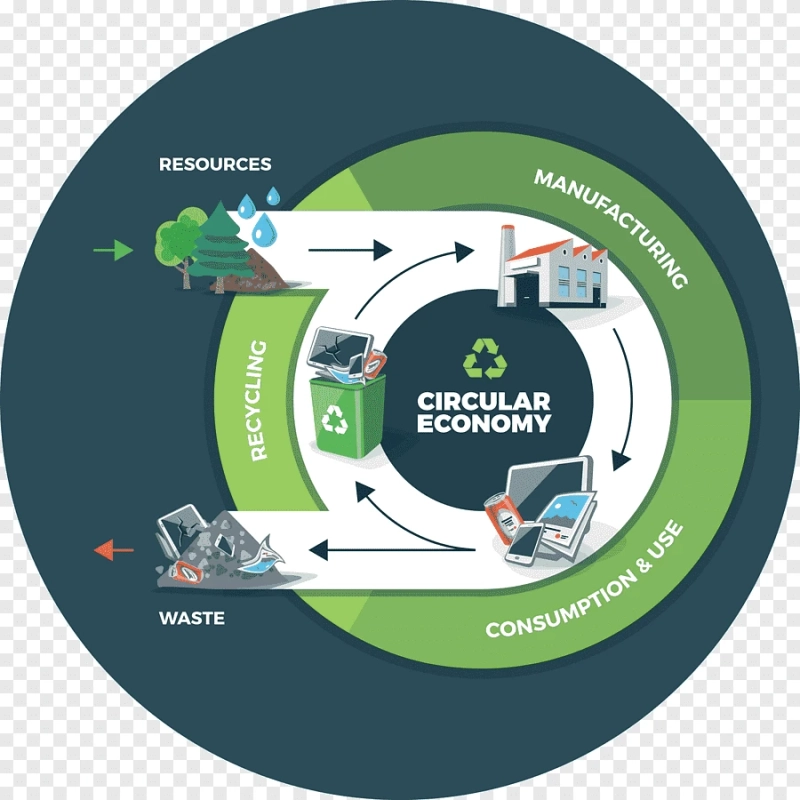 Unlocking a Sustainable Tomorrow: Circular Economy Solutions for a Brighter Future