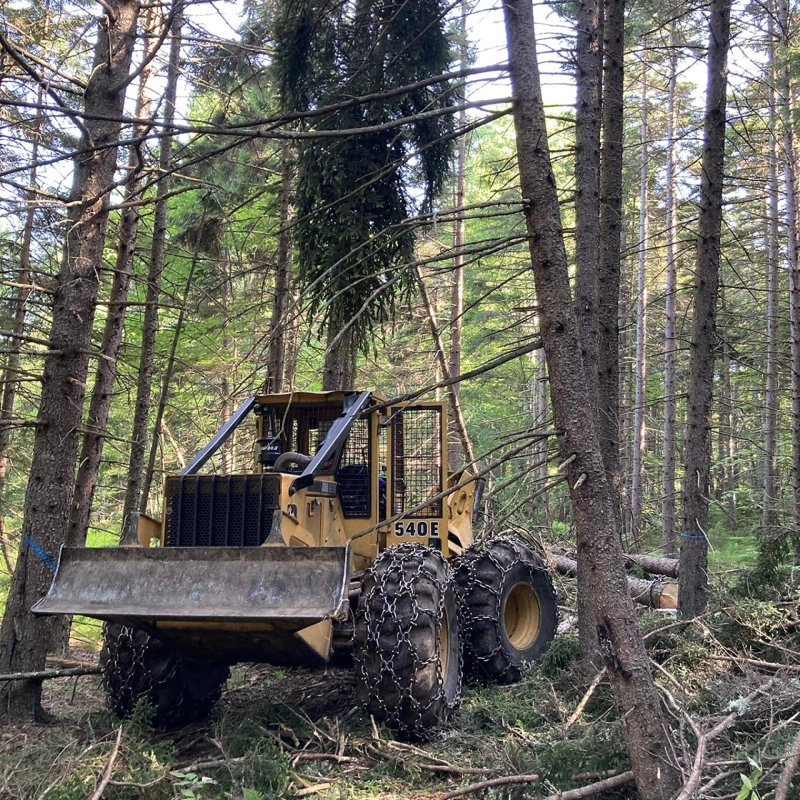 Sustainable Forestry Practices in Timber Asset Management