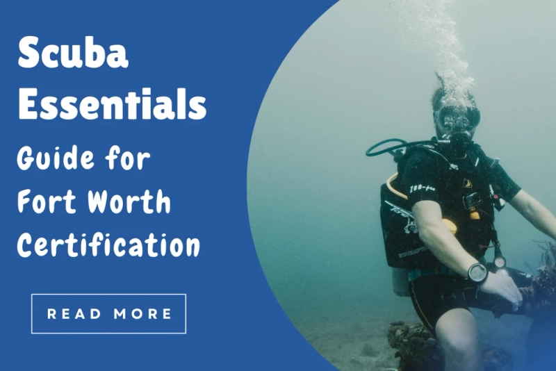 Starting Your Underwater Journey: The Gear Checklist